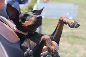 10982161_919414078092255_3183634800157047197_o